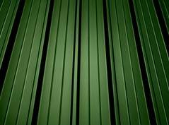 Green Metal Roof