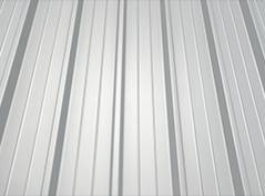 White Metal Roof